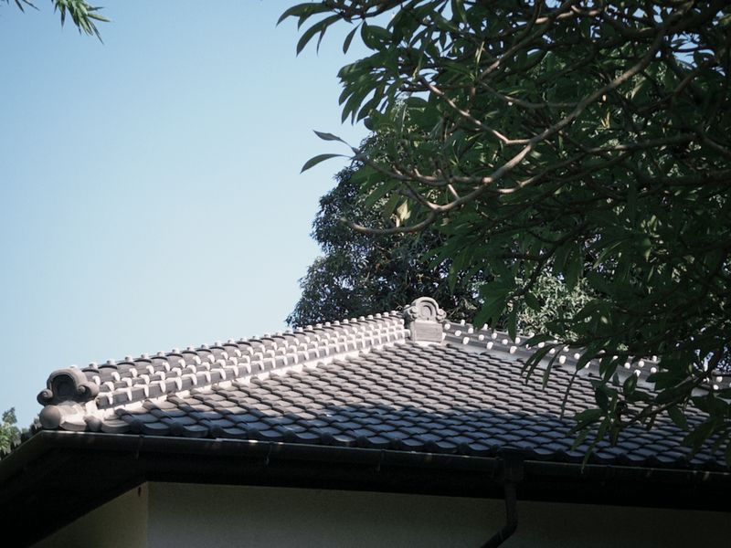 321巷藝術聚落 照片 5